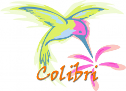Colibri pole dance studio - Aerial hoop