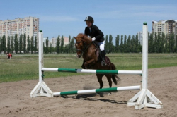 Pony Club - Киев, Конный спорт