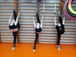 АЭЛИТА - студия гармоничного физического развития - Киев, Художественная гимнастика