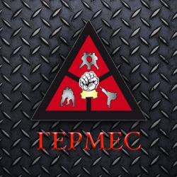 Спортивный клуб Гермес, школа ММА и боевого самбо - MMA