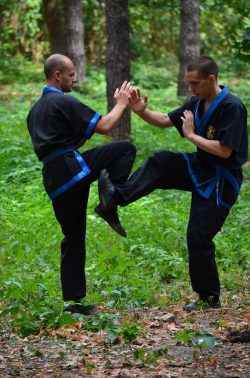 Международная федерация традиционных боевых искусств Вин Чун Куен Пай - Киев, Вин чун, Смешанные боевые искусства