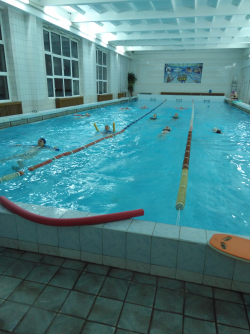 Спортивно-оздоровительный клуб Дельфин - Плавание