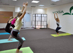Yoga-Lifestyle Studio - Киев, Йога, Хатха йога