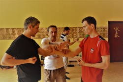 Wing Chun Kung Fu (Школа Александра Голяка) - Киев, Вин чун