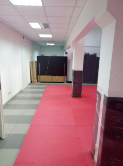 Центр боевых искусств «ОС» на Нежинской - Киев, Каратэ
