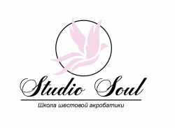 Pole Dance Studio Soul - Contemporary