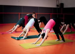 Фитнес-центр "Мастер Фит" на Троещине - Киев, Stretching, Йога, Тренажерные залы, Степ-аэробика