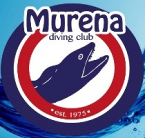 murena-logo.jpg